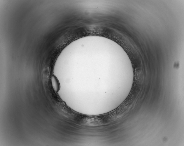 X0000103280752200809191806