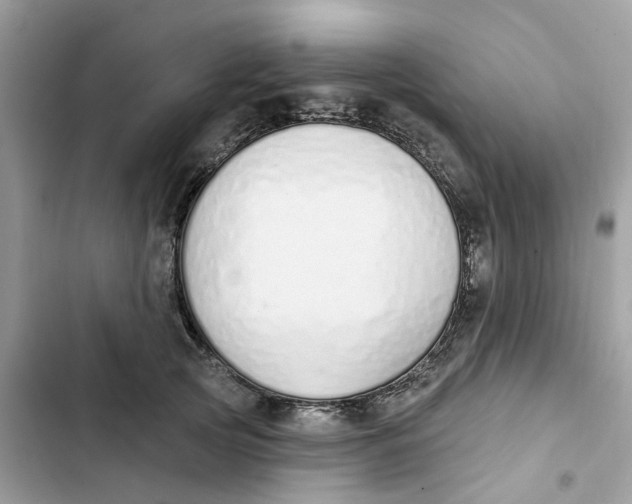 X0000103280753200809191806