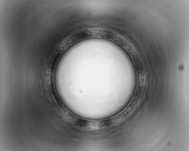 X0000103280757200809191806