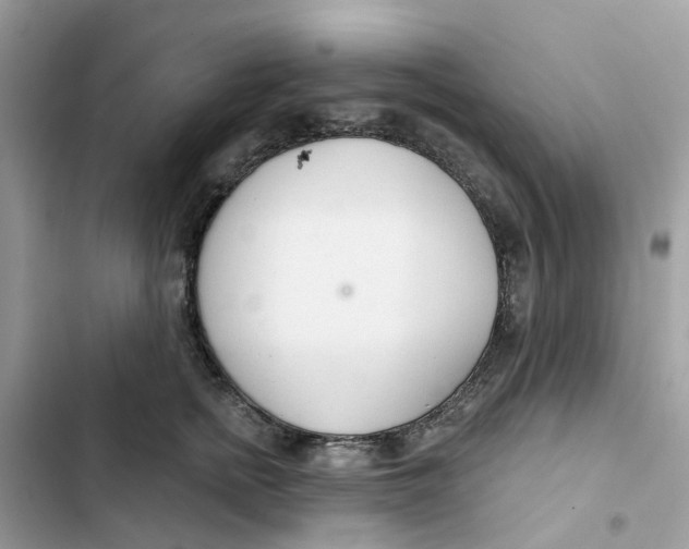 X0000103280758200809191806