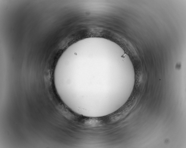 X0000103280759200809191806