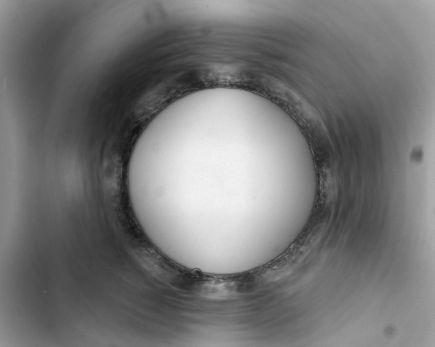 X0000103280760200809191806