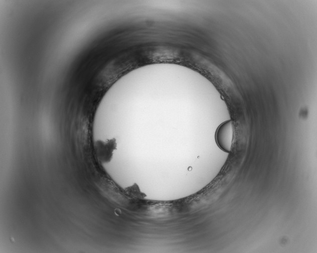 X0000103280761200809191806