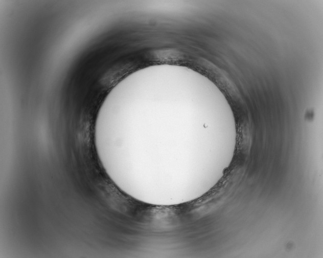 X0000103280762200809191806