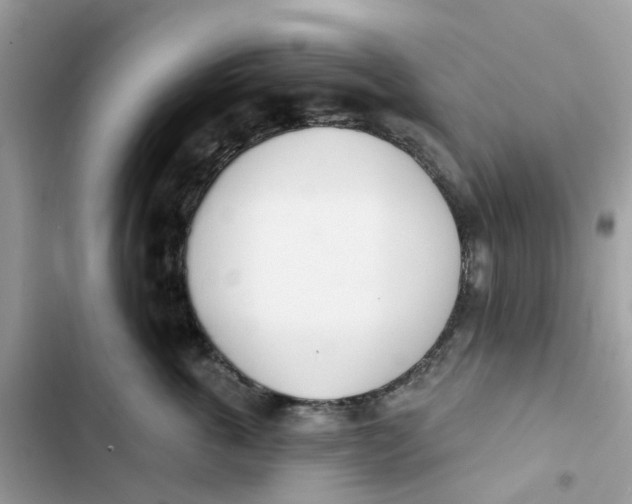 X0000103280763200809191806