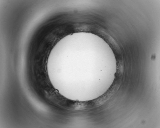 X0000103280764200809191806