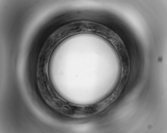 X0000103280765200809191806