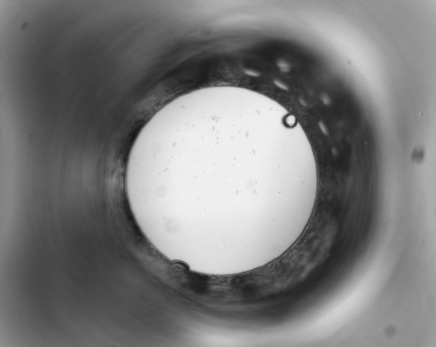 X0000103280766200809191806