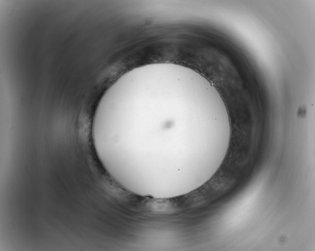 X0000103280767200809191806