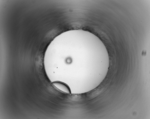 X0000103280768200809191806