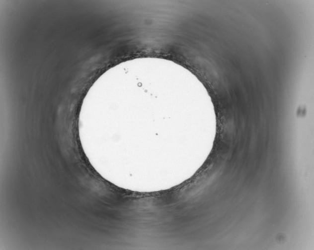 X0000103280769200809191805