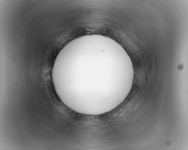 X0000103280770200809191805