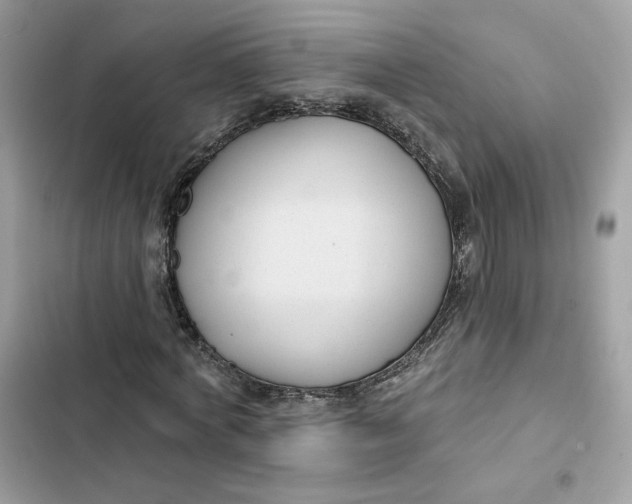 X0000103280772200809191805