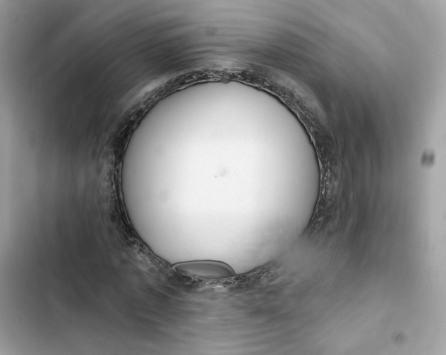 X0000103280773200809191805