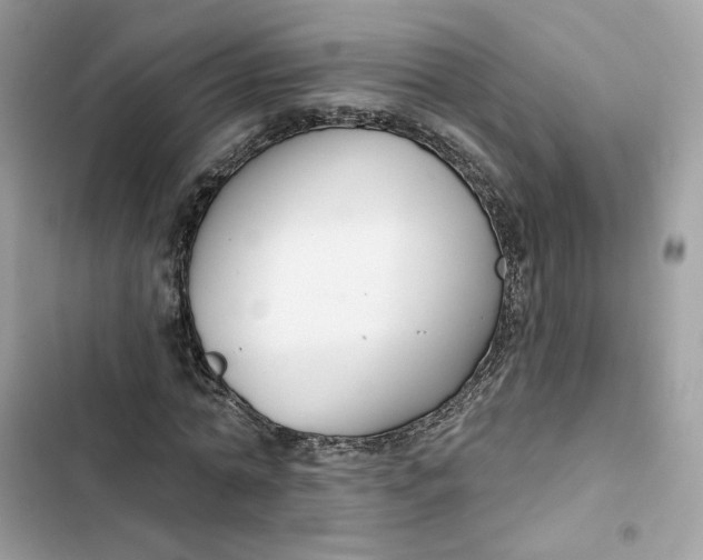 X0000103280774200809191805