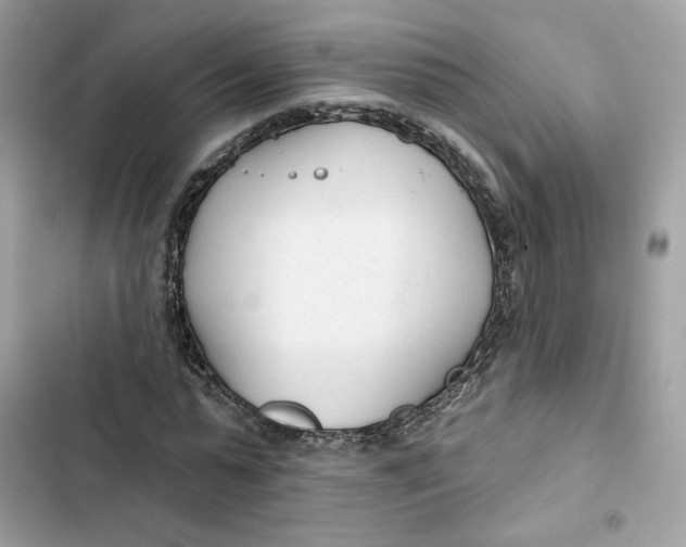 X0000103280775200809191805