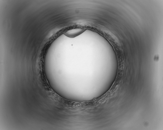 X0000103280776200809191805