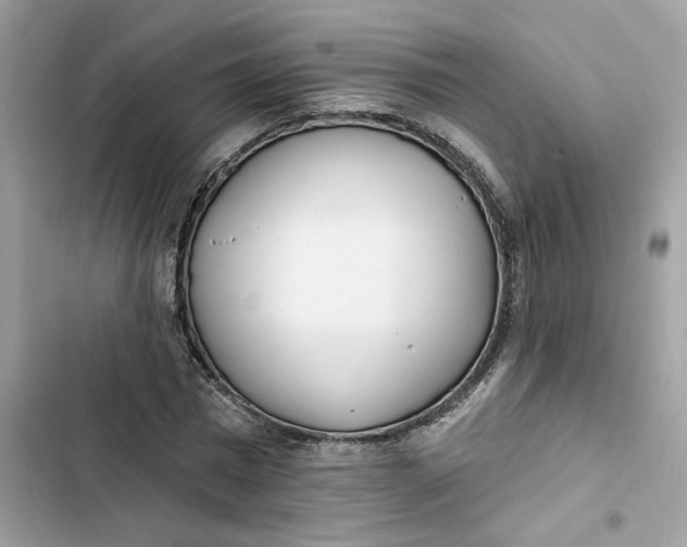 X0000103280777200809191805