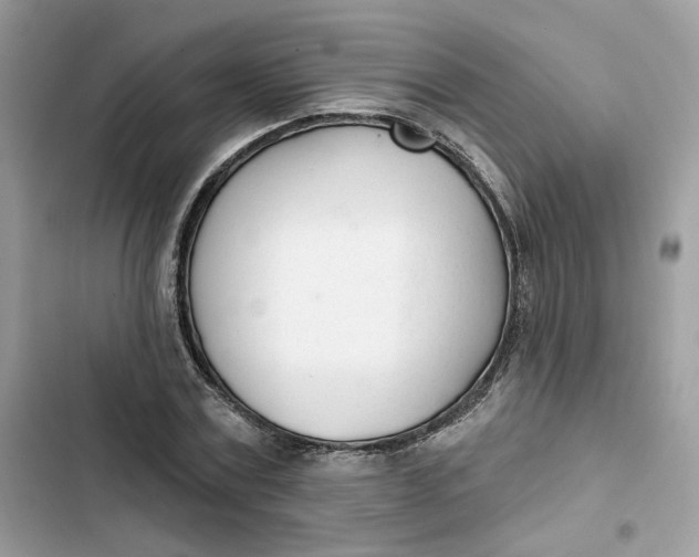 X0000103280779200809191805