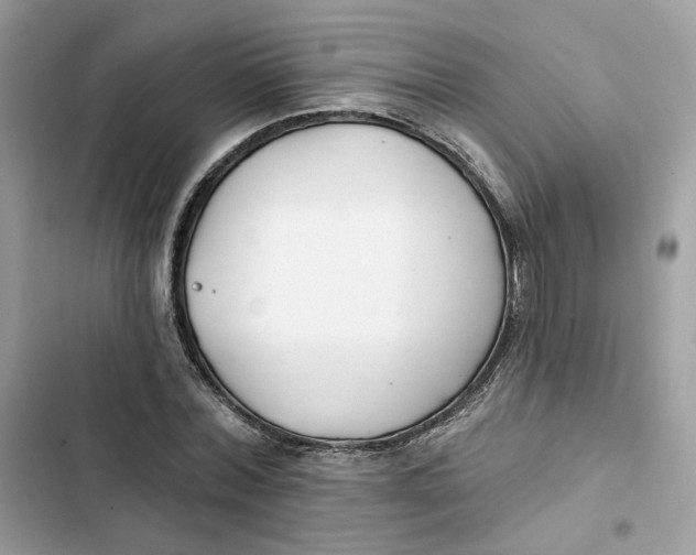 X0000103280780200809191805