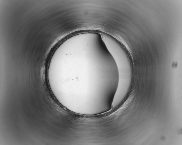 X0000103280781200809191805