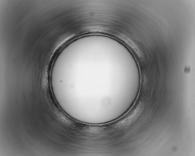 X0000103280782200809191805