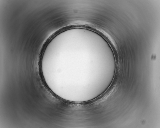 X0000103280783200809191805