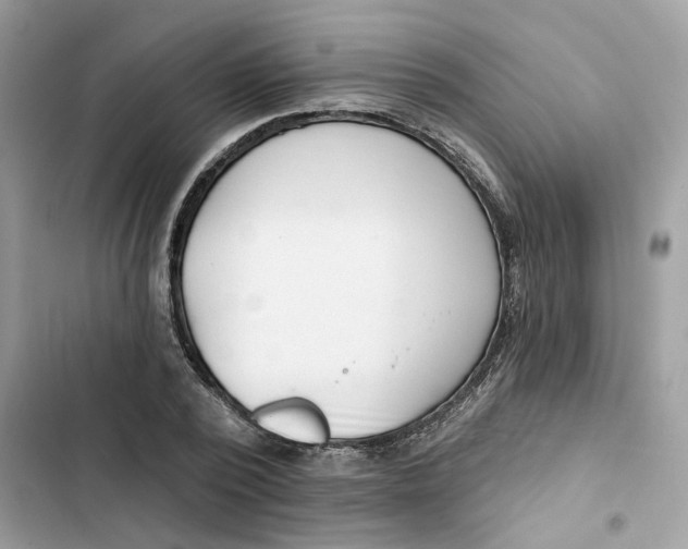 X0000103280784200809191805