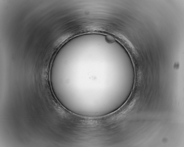 X0000103280785200809191805