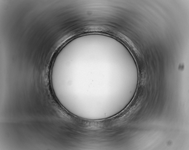 X0000103280786200809191805