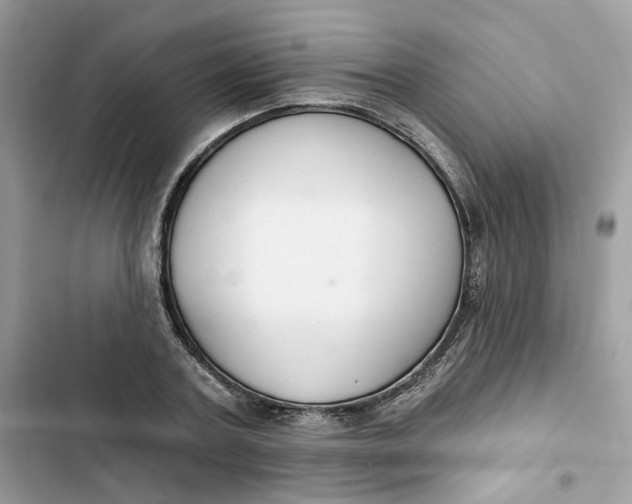 X0000103280787200809191805