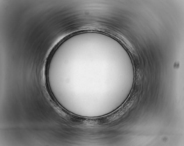 X0000103280788200809191805