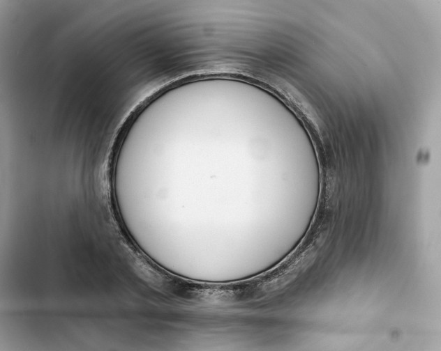 X0000103280789200809191805