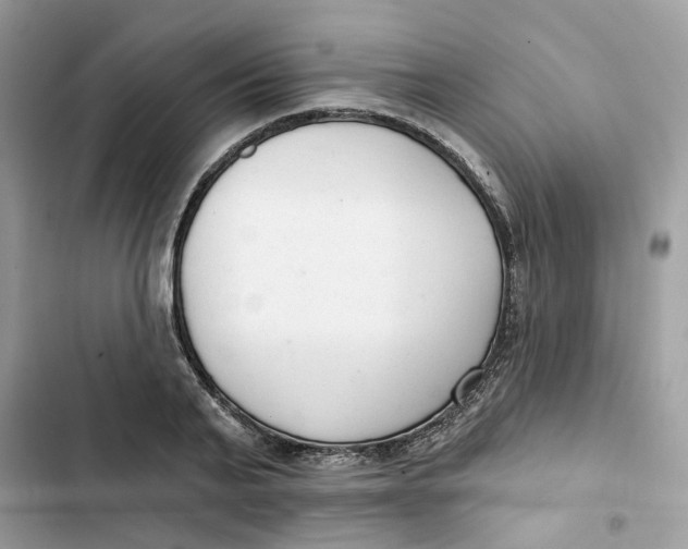 X0000103280791200809191805