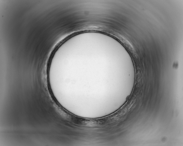 X0000103280792200809191805