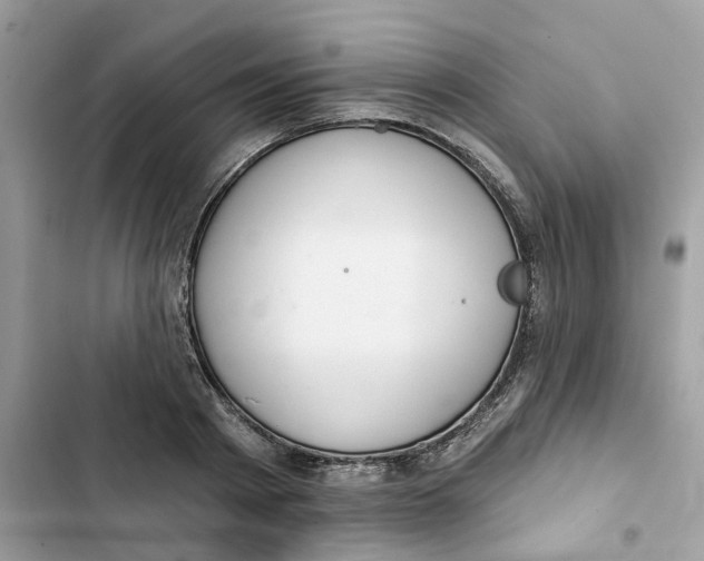 X0000103280793200809191805