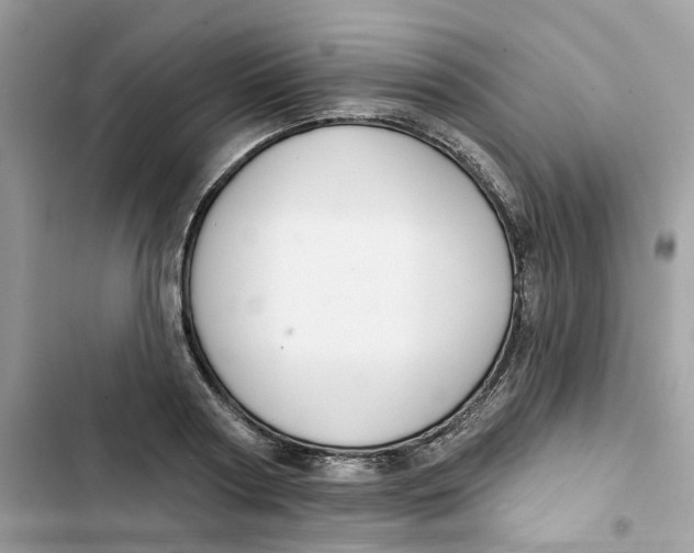 X0000103280794200809191805