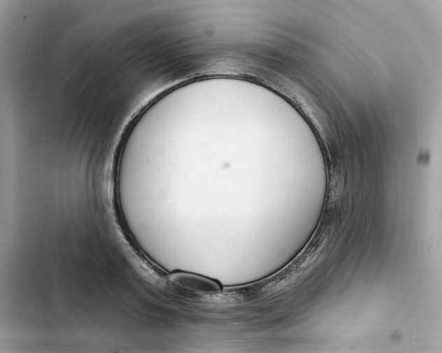 X0000103280795200809191805