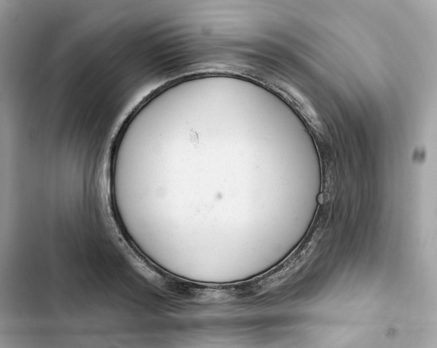 X0000103280796200809191805