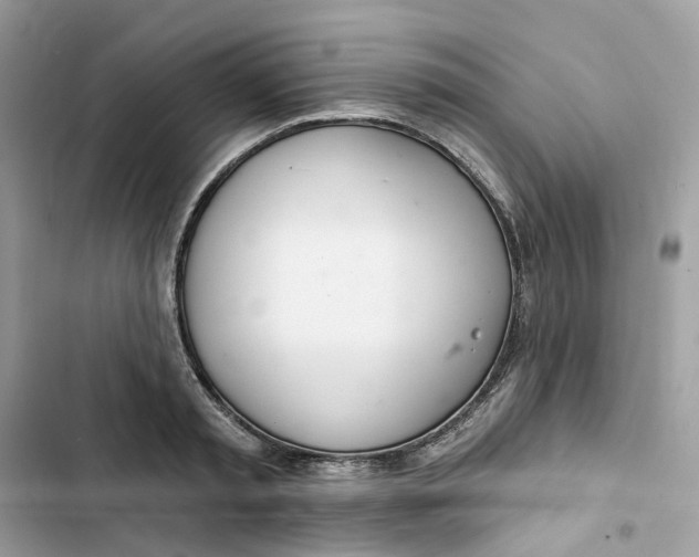 X0000103280797200809191805