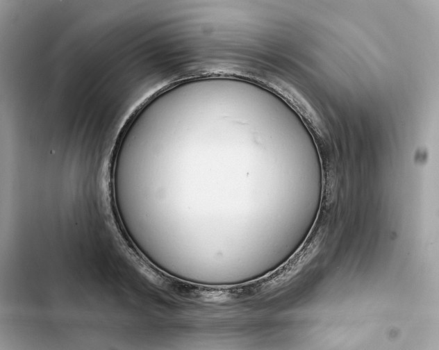 X0000103280798200809191805