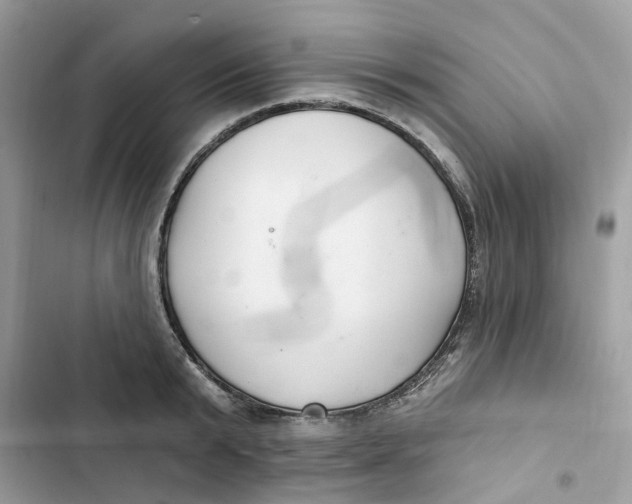 X0000103280799200809191805