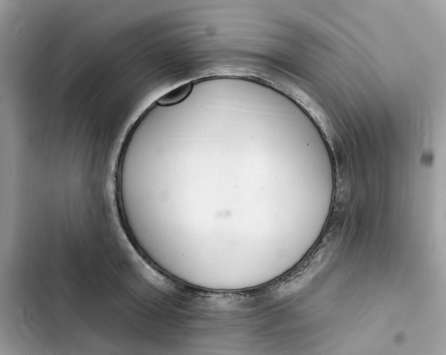 X0000103280803200809191805