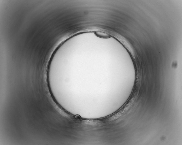 X0000103280805200809191805