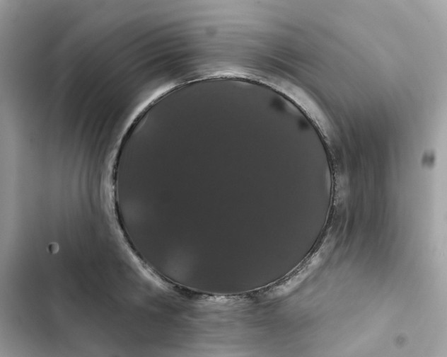 X0000103280806200809191805