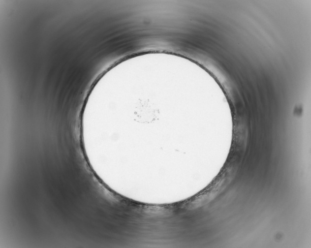 X0000103280807200809191804