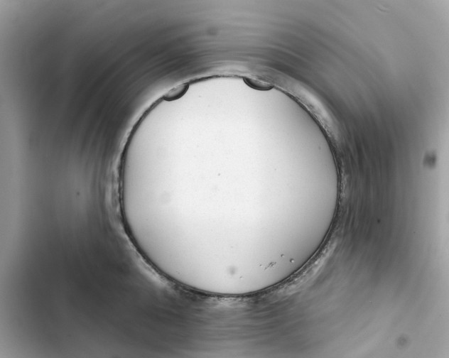 X0000103280808200809191804