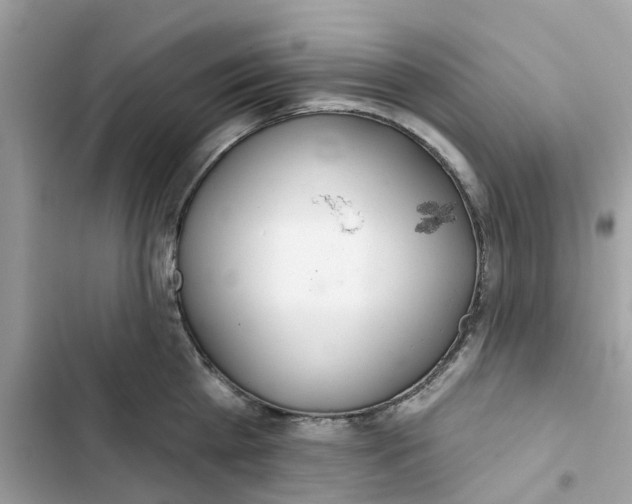 X0000103280809200809191804