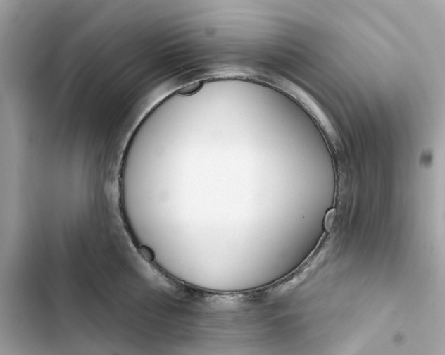 X0000103280810200809191804