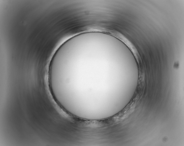 X0000103280811200809191804